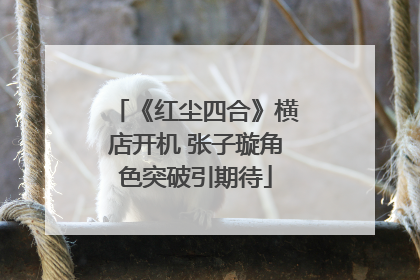 《红尘四合》横店开机 张子璇角色突破引期待