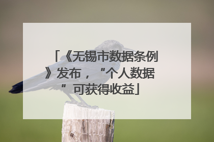 《无锡市数据条例》发布，“个人数据”可获得收益