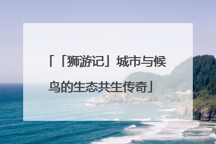 「狮游记」城市与候鸟的生态共生传奇