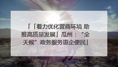 「着力优化营商环境 助推高质量发展」瓜州：“全天候”政务服务惠企便民