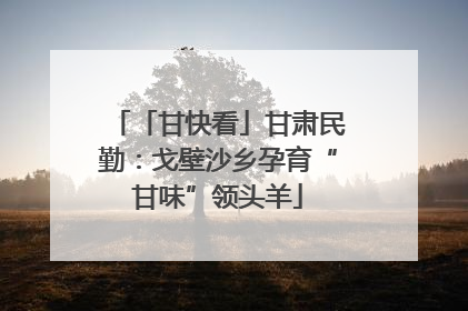 「甘快看」甘肃民勤：戈壁沙乡孕育“甘味”领头羊