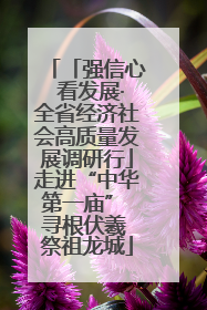 「强信心 看发展·全省经济社会高质量发展调研行」走进“中华第一庙” 寻根伏羲 祭祖龙城