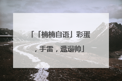 「楠楠自语」彩蛋，手雷，邋遢帅