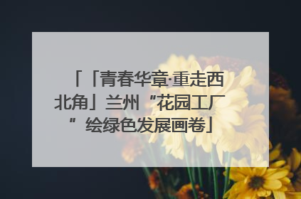 「青春华章·重走西北角」兰州“花园工厂”绘绿色发展画卷