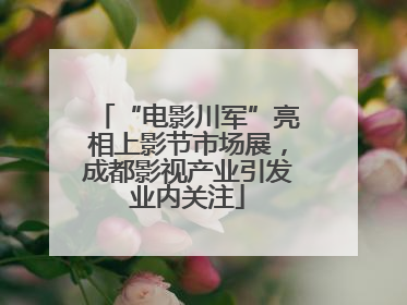 “电影川军”亮相上影节市场展，成都影视产业引发业内关注