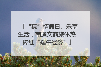 “粽”情假日、乐享生活，南通文商旅体热捧红“端午经济”