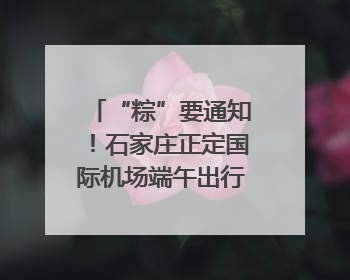“粽”要通知！石家庄正定国际机场端午出行乘机提示，快来get