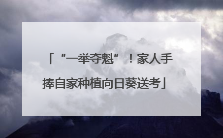 “一举夺魁”！家人手捧自家种植向日葵送考