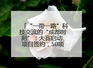 “一带一路”科技交流的“成都时刻”：大赛启动、项目签约，50项“成都造”黑科技吸引多国客商