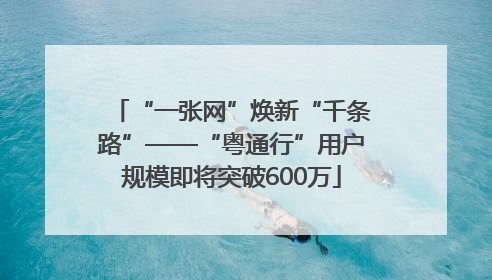“一张网”焕新“千条路”——“粤通行”用户规模即将突破600万
