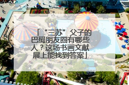 “三苏”父子的巴蜀朋友圈有哪些人？这场书画文献展上能找到答案
