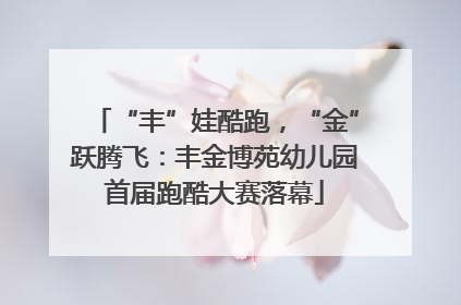 “丰”娃酷跑，“金”跃腾飞：丰金博苑幼儿园首届跑酷大赛落幕