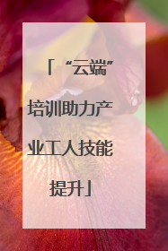 “云端”培训助力产业工人技能提升