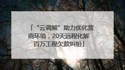 “云调解”助力优化营商环境，20天远程化解百万工程欠款纠纷