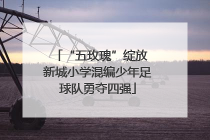“五玫瑰”绽放 新城小学混编少年足球队勇夺四强