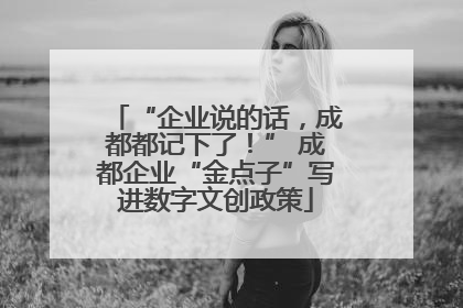 “企业说的话，成都都记下了！” 成都企业“金点子”写进数字文创政策