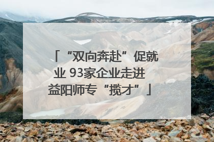 “双向奔赴”促就业 93家企业走进益阳师专“揽才”