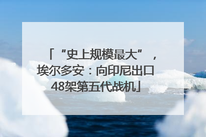 “史上规模最大”，埃尔多安：向印尼出口48架第五代战机