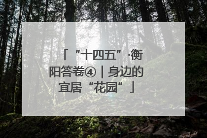 “十四五”·衡阳答卷④｜身边的宜居“花园”