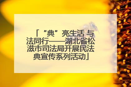 “典”亮生活 与法同行——湖北省松滋市司法局开展民法典宣传系列活动