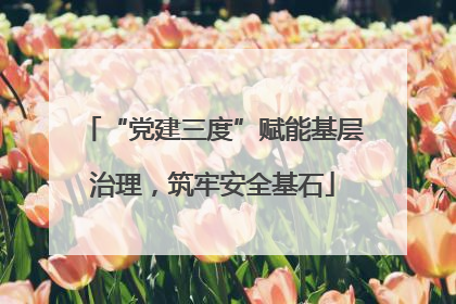 “党建三度”赋能基层治理，筑牢安全基石