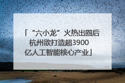 “六小龙”火热出圈后 杭州欲打造超3900亿人工智能核心产业