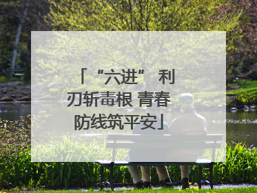 “六进” 利刃斩毒根 青春防线筑平安