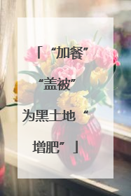 “加餐”“盖被” 为黑土地“增肥”