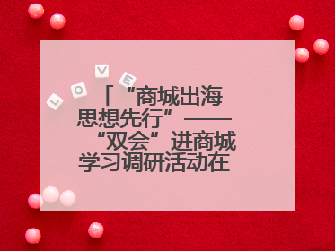 “商城出海 思想先行”——“双会”进商城学习调研活动在临沂顺利开展
