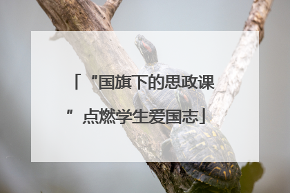 “国旗下的思政课”点燃学生爱国志