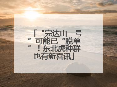 “完达山一号”可能已“脱单”！东北虎种群也有新喜讯