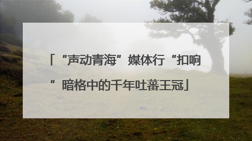 “声动青海”媒体行“扣响”暗格中的千年吐蕃王冠