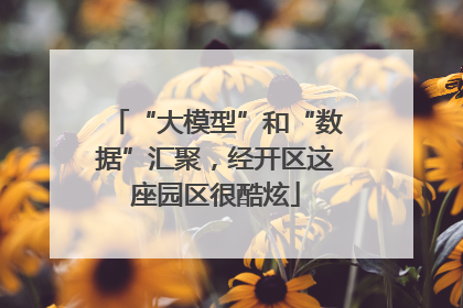 “大模型”和“数据”汇聚，经开区这座园区很酷炫