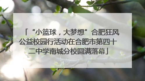 “小篮球，大梦想”合肥狂风公益校园行活动在合肥市第四十二中学南城分校圆满落幕