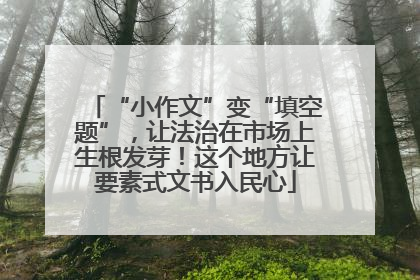 “小作文”变“填空题”，让法治在市场上生根发芽！这个地方让要素式文书入民心