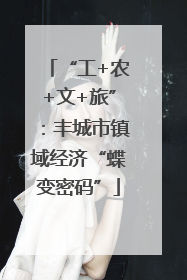 “工+农+文+旅”：丰城市镇域经济“蝶变密码”