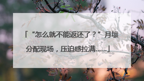 “怎么就不能返还了？”月壤分配现场，压迫感拉满……