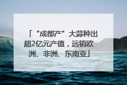 “成都产”大蒜种出超2亿元产值，远销欧洲、非洲、东南亚