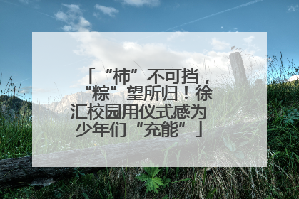 “柿”不可挡，“粽”望所归！徐汇校园用仪式感为少年们“充能”