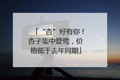 “杏”好有你！杏子集中登鹭，价格低于去年同期