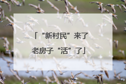 “新村民”来了 老房子“活”了