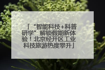 “智能科技+科普研学”解锁假期新体验！北京经开区工业科技旅游热度攀升
