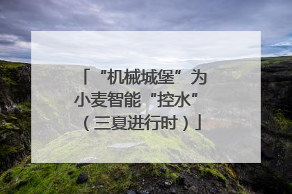 “机械城堡”为小麦智能“控水”（三夏进行时）