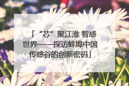 “芯”聚江淮 智感世界——探访蚌埠中国传感谷的创新密码