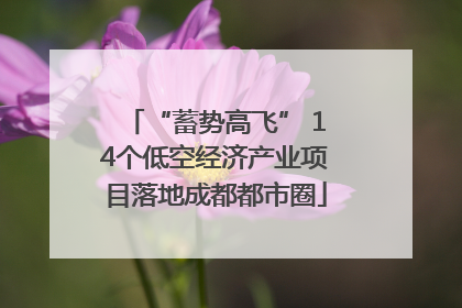 “蓄势高飞” 14个低空经济产业项目落地成都都市圈