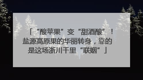 “酸苹果”变“甜酒酿”！盐源高原果的华丽转身，靠的是这场浙川千里“联姻”