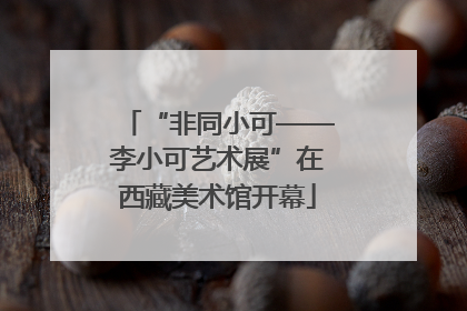 “非同小可——李小可艺术展”在西藏美术馆开幕