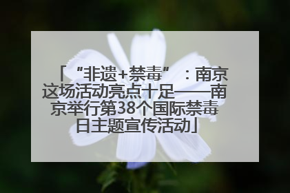 “非遗+禁毒”：南京这场活动亮点十足——南京举行第38个国际禁毒日主题宣传活动