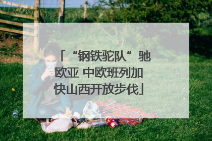 “钢铁驼队”驰欧亚 中欧班列加快山西开放步伐