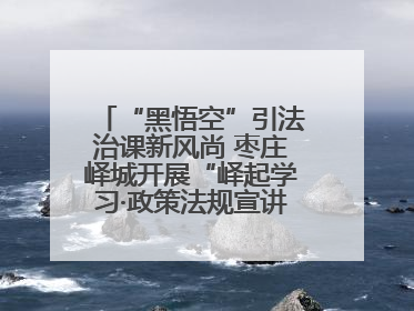 “黑悟空”引法治课新风尚 枣庄峄城开展“峄起学习·政策法规宣讲面对面”活动